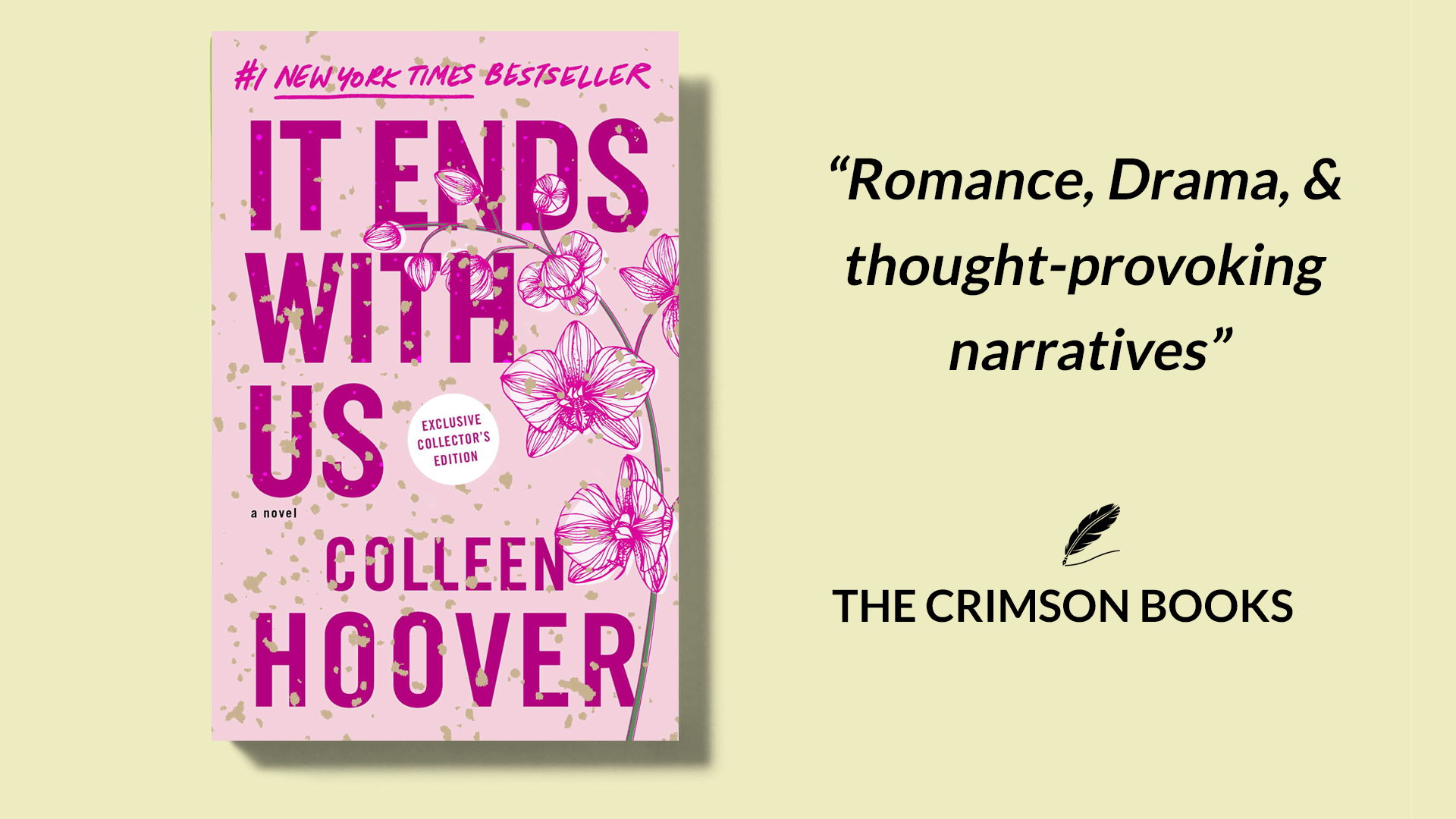 it ends with us book critic reviews